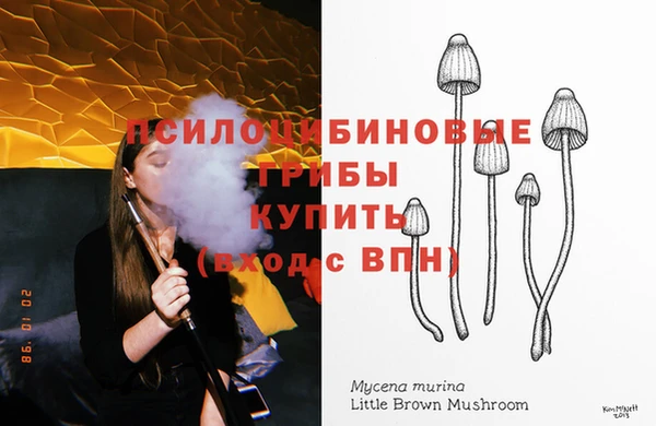МДМА Инсар