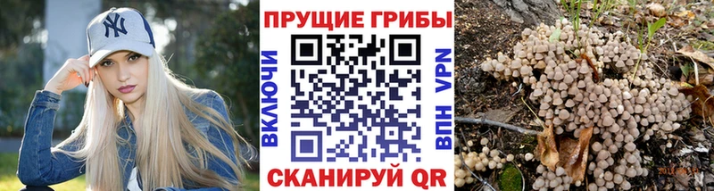 Галлюциногенные грибы MAGIC MUSHROOMS  Купить где  Белая Калитва 